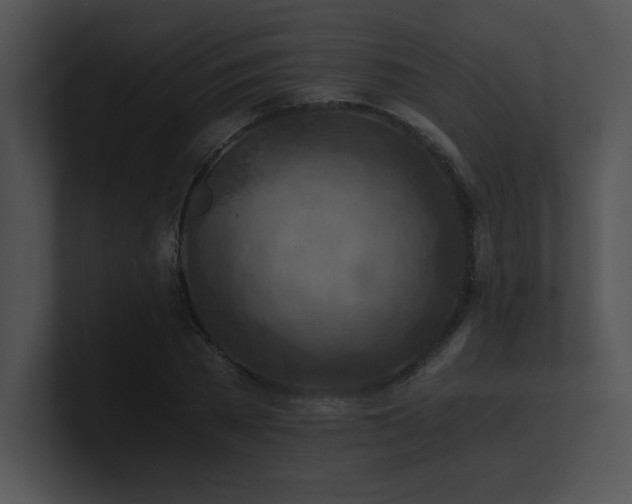 X0000100900785200806241251