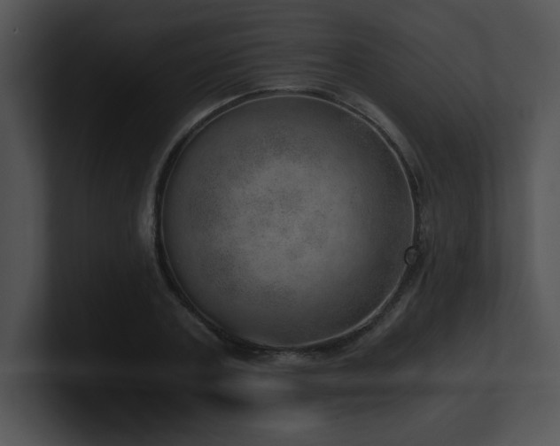 X0000100900787200806241251