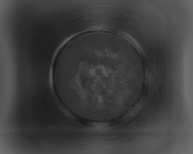 X0000100900788200806241251