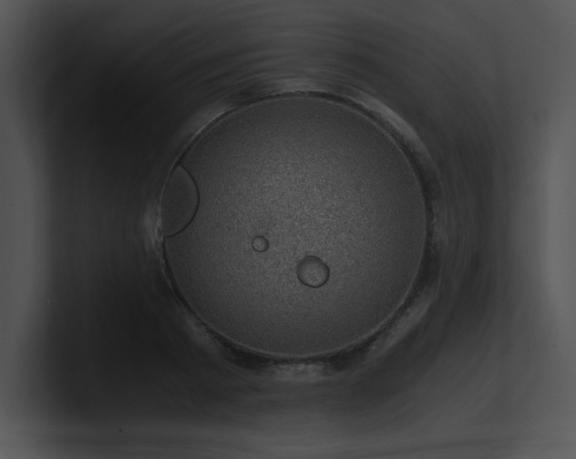 X0000100900793200806241251