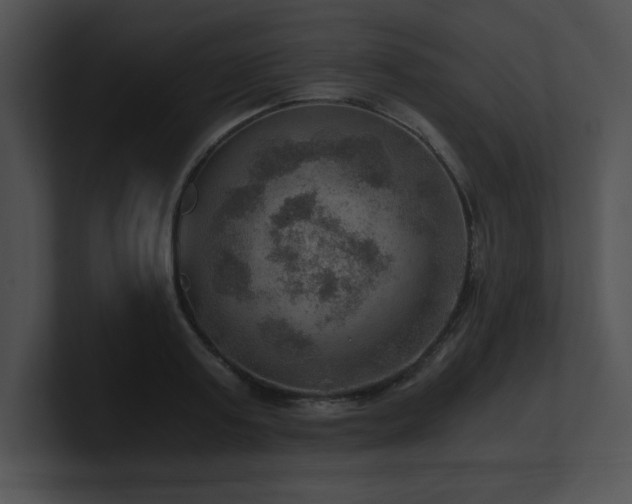 X0000100900795200806241251