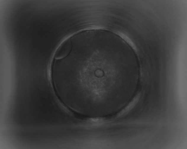 X0000100900797200806241251