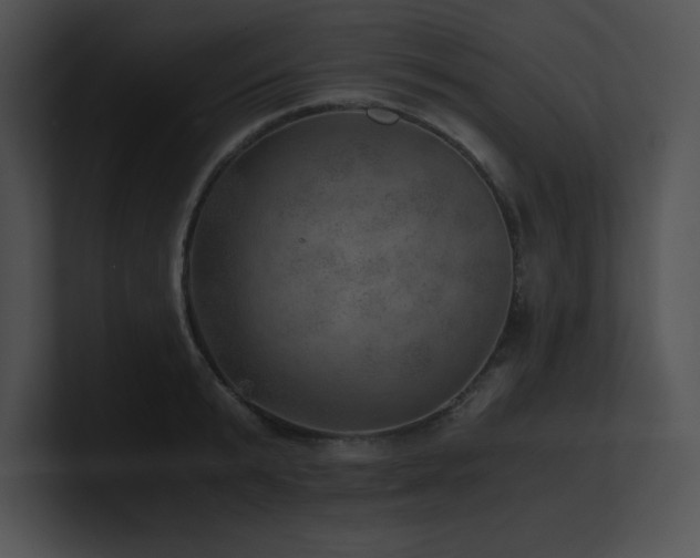 X0000100900799200806241251