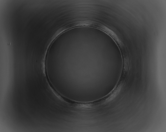 X0000100900802200806241251