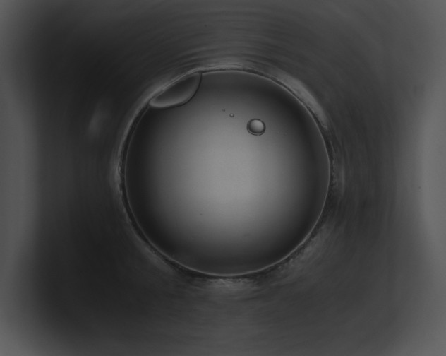X0000100900805200806241251