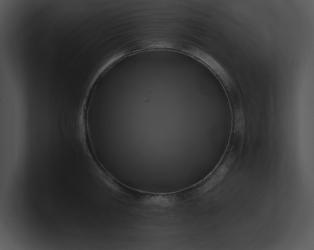 X0000100900806200806241251