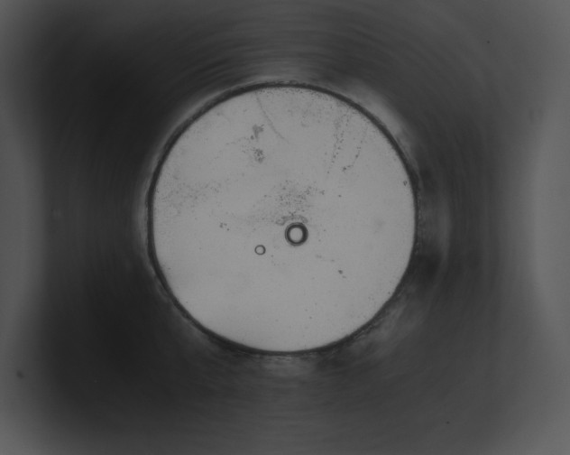 X0000100900807200806241251