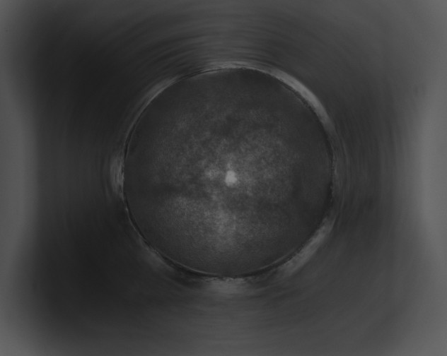 X0000100900809200806241251