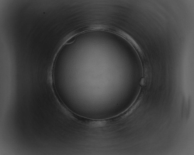 X0000100900810200806241251