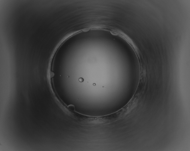 X0000100900811200806241251
