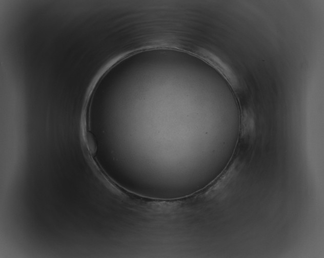 X0000100900812200806241251