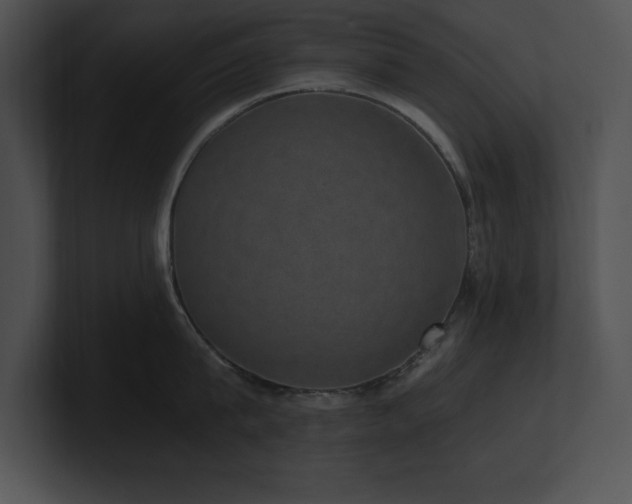 X0000100900815200806241251