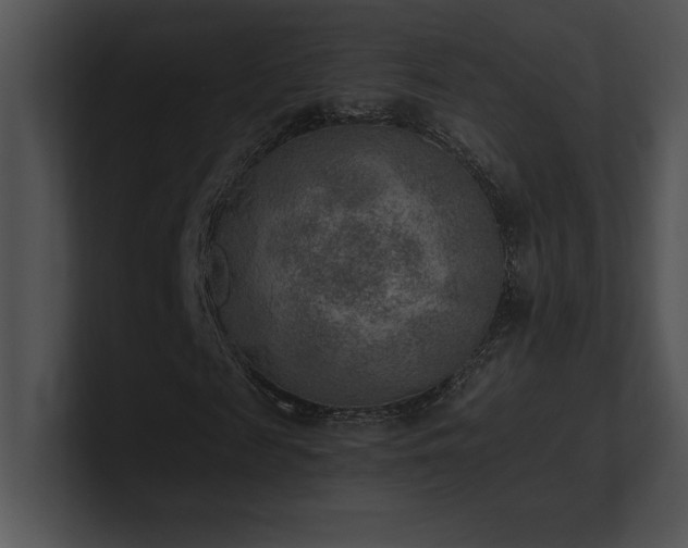 X0000100900817200806241250