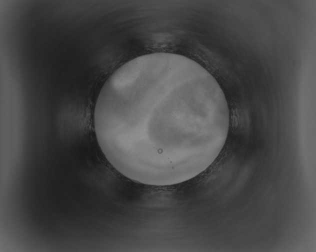 X0000100900820200806241250