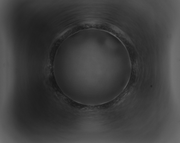X0000100900822200806241250