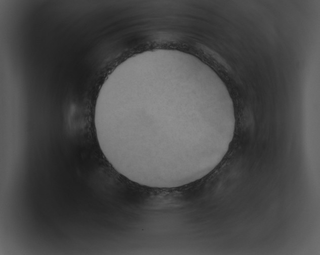 X0000100900824200806241250