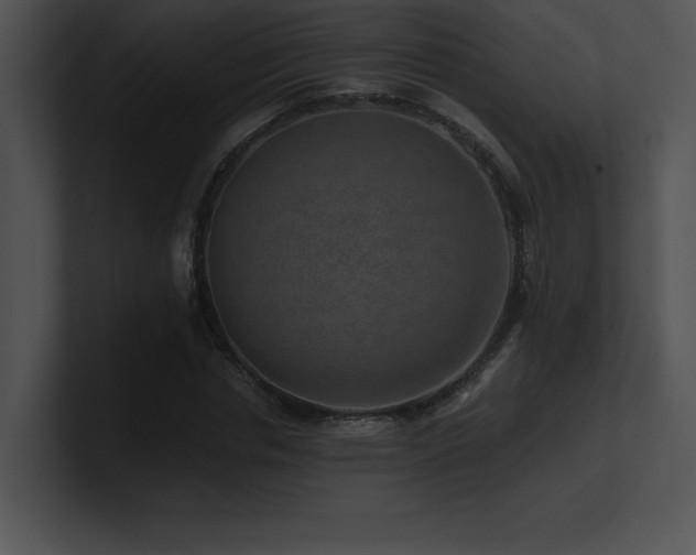 X0000100900826200806241250