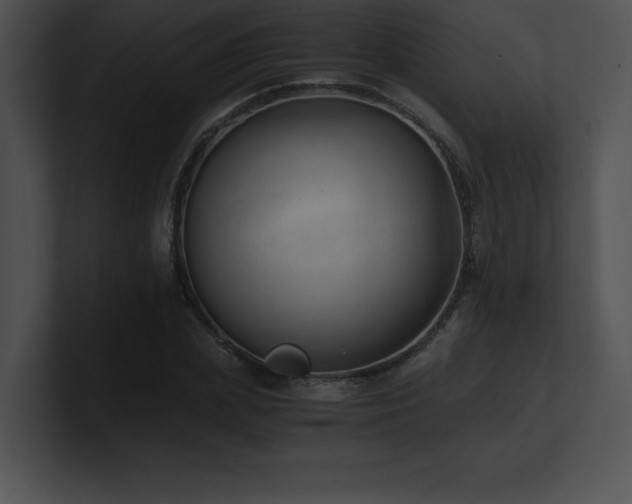 X0000100900831200806241250