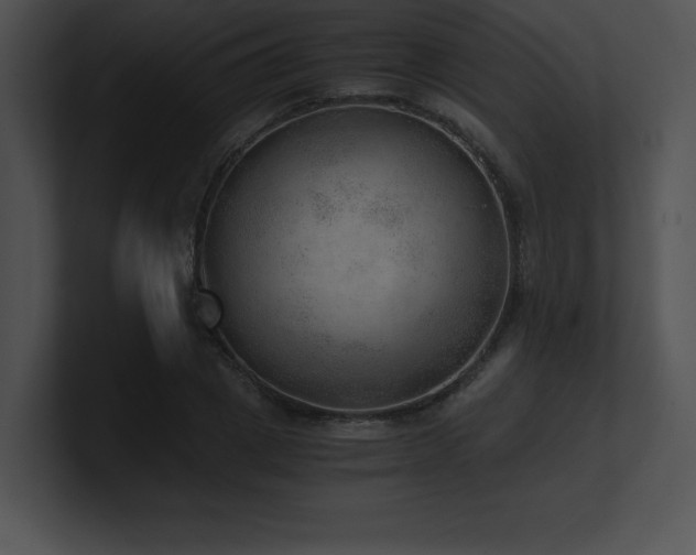 X0000100900833200806241250