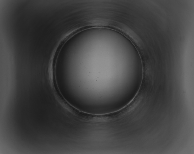 X0000100900840200806241250