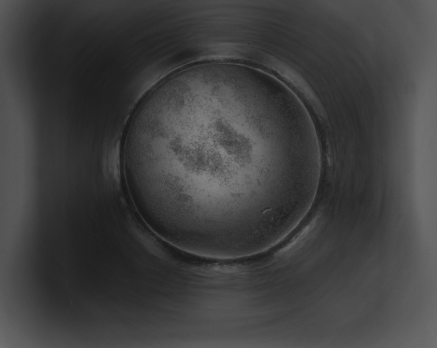 X0000100900842200806241250