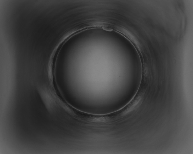 X0000100900843200806241250