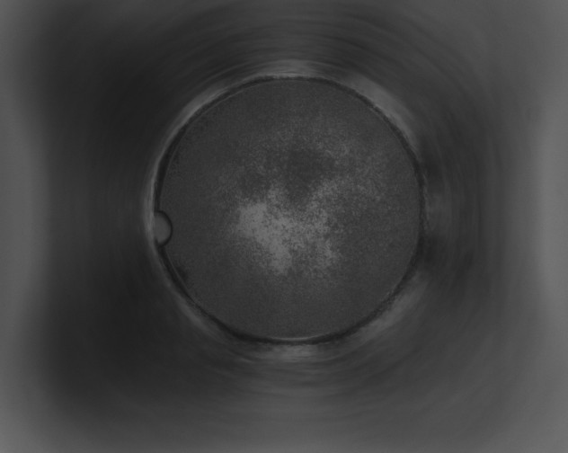 X0000100900845200806241250