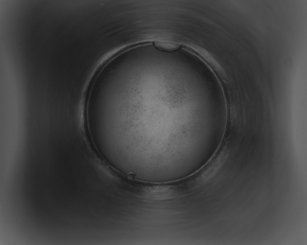 X0000100900846200806241250