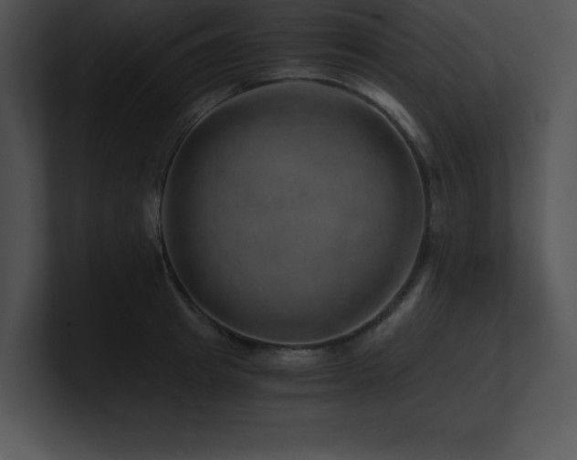 X0000100900849200806241250
