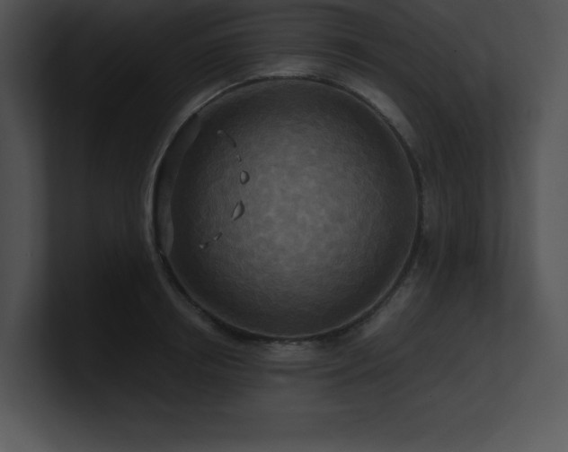 X0000100900850200806241250