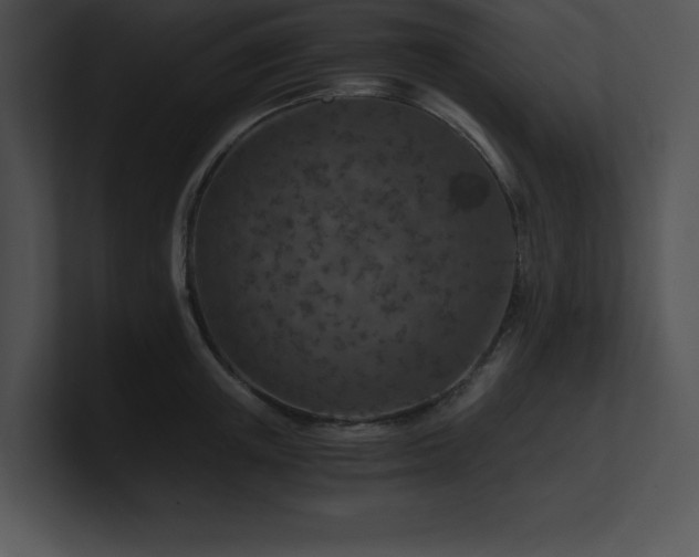 X0000100900851200806241250