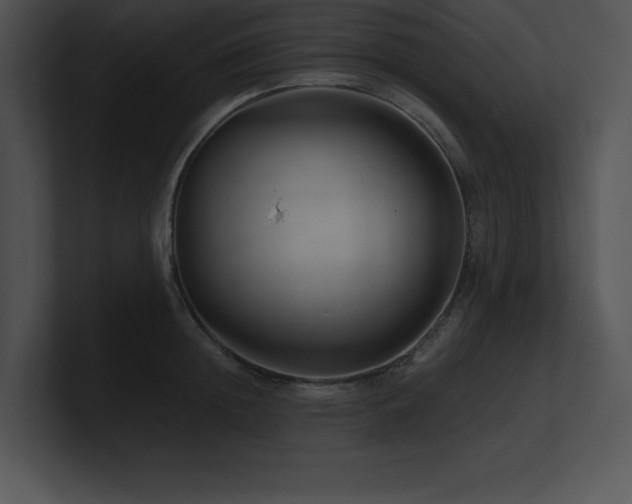 X0000100900852200806241250