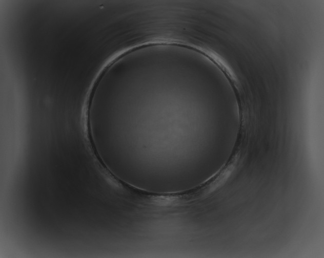 X0000100900854200806241250