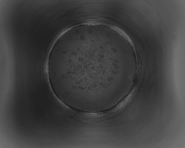 X0000100900855200806241250