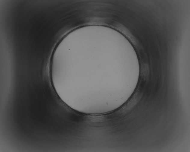 X0000100900856200806241251