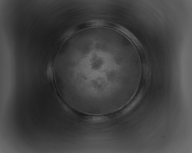 X0000100900857200806241251