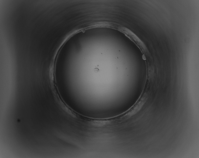 X0000100900860200806241251