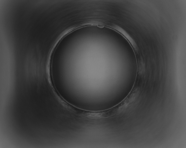 X0000100900861200806241251