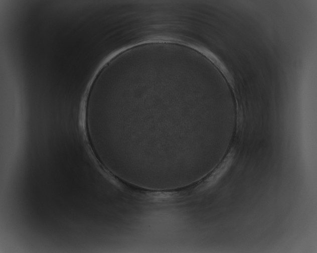 X0000100900862200806241251