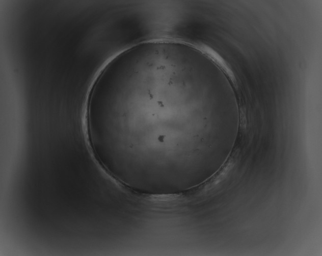 X0000100900863200806241251