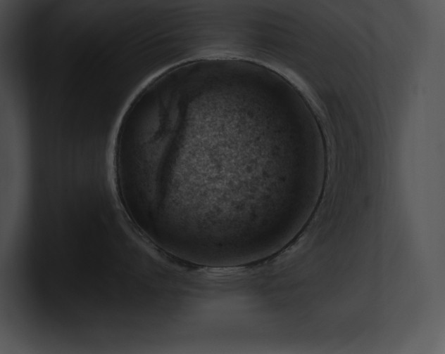 X0000100900864200806241251