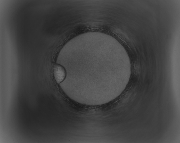 X0000100900865200806241250