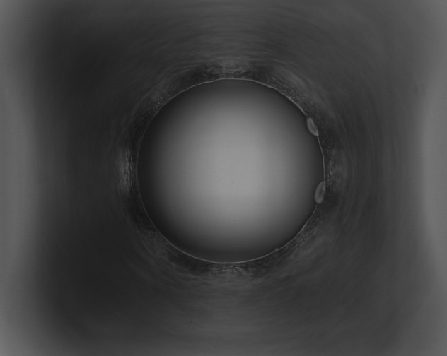 X0000100900866200806241250