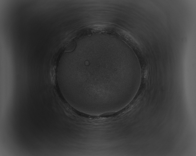 X0000100900868200806241250
