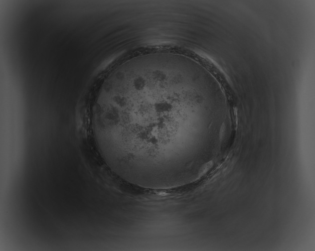 X0000100900871200806241250
