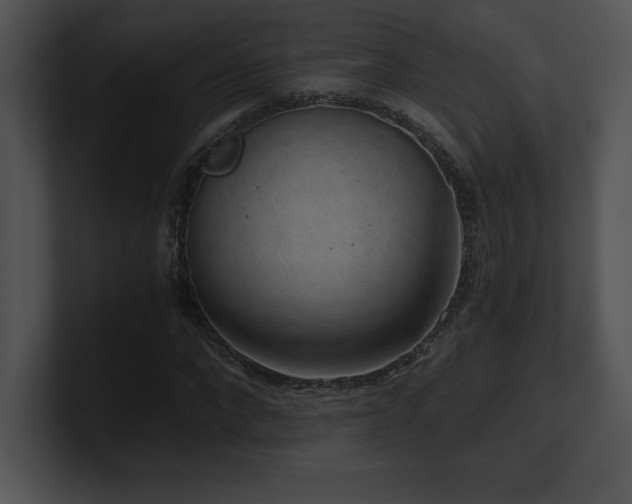 X0000100900872200806241250