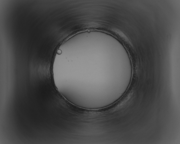 X0000100900873200806241250