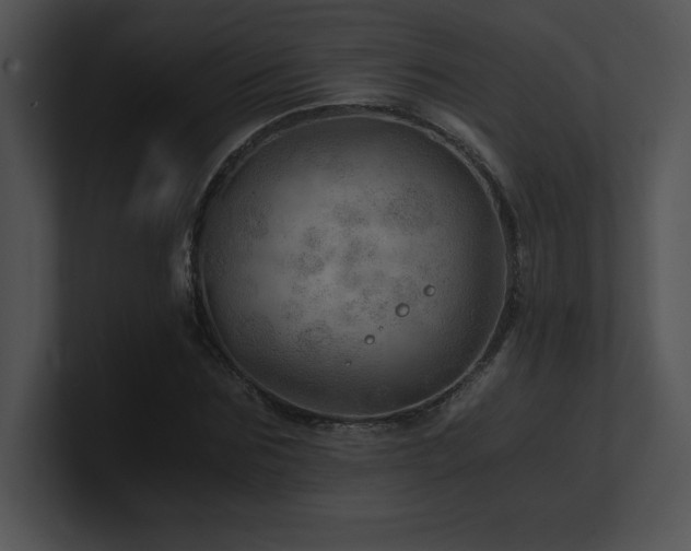X0000100900875200806241250