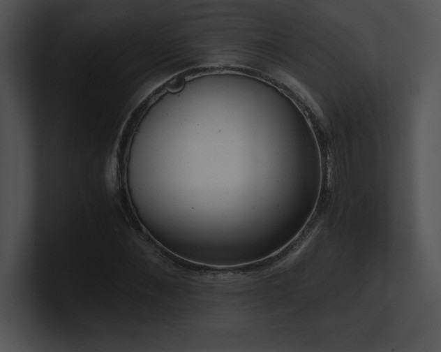 X0000100900876200806241250