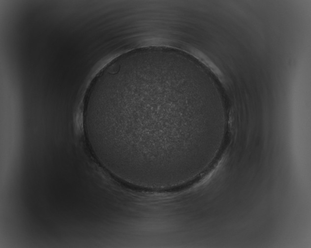X0000100900877200806241250